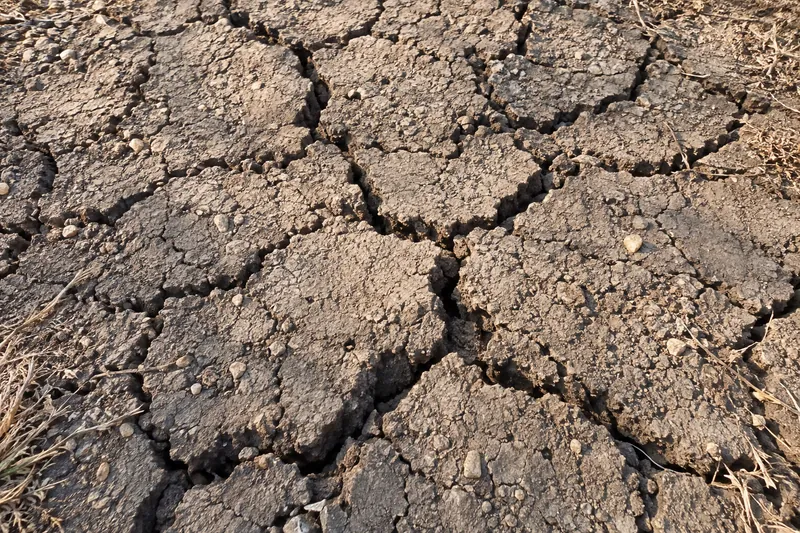 Clay soil broken into deep shrinkage cracks in dry weather