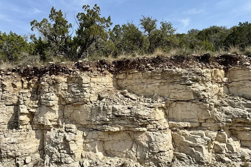 Thin dark soil over pale layered limestone in a hillside cut